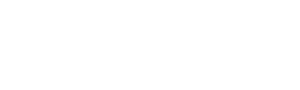 Biorunstar logo